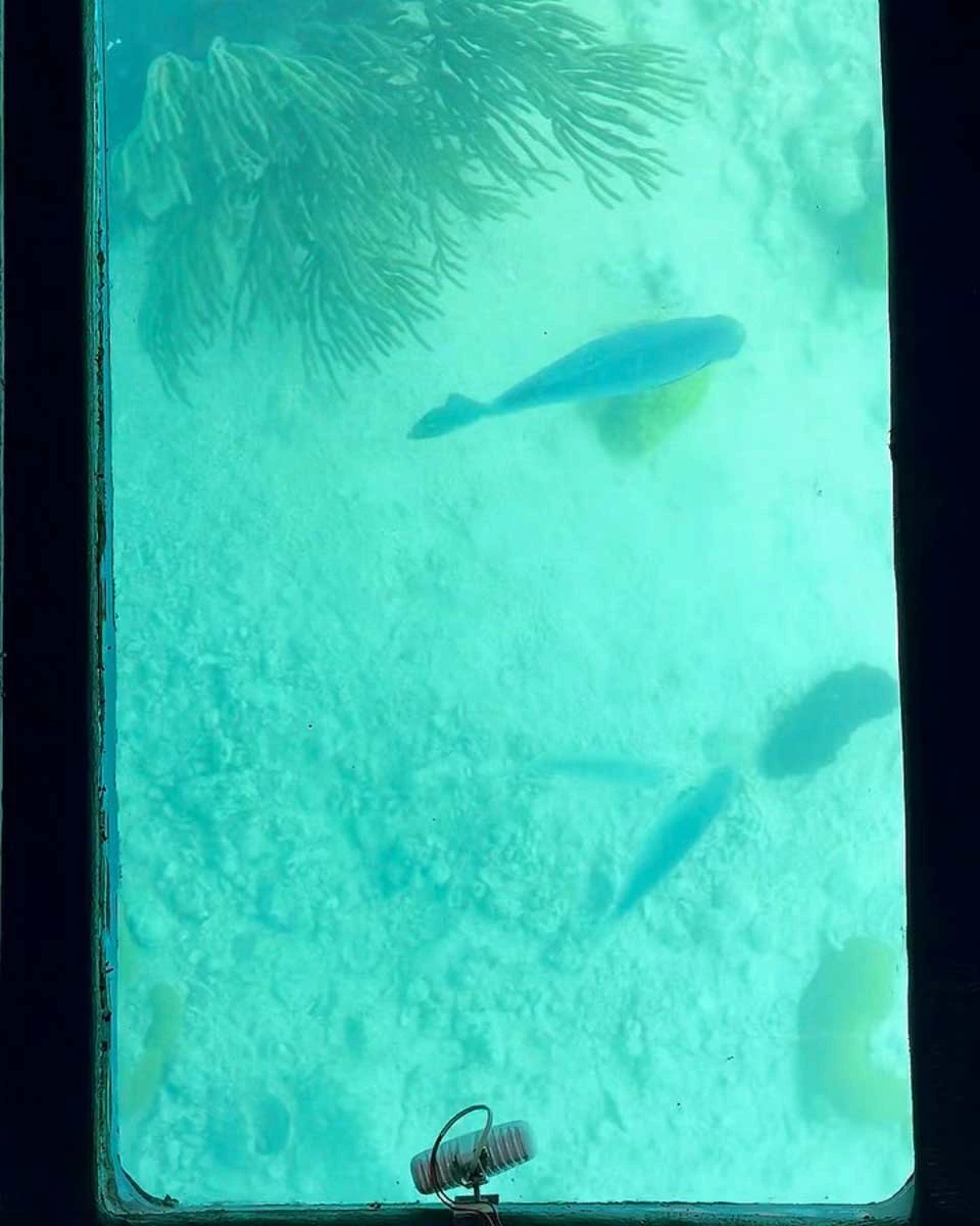 Island Tour Centre Bermuda in Bermuda