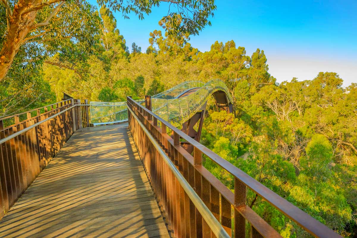 The glass bridge in Kings Park Perth Australia
