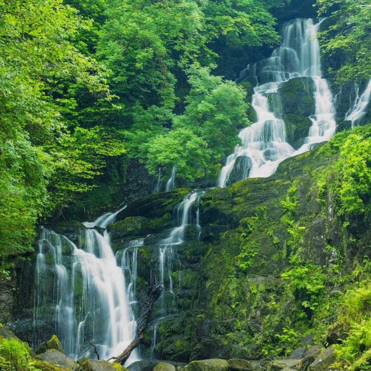 Torc Waterfall in Killarney National Park seen on a tour from Cork Ireland
