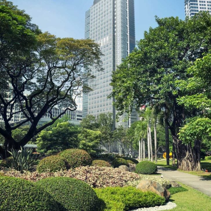 Ayala Triangle Park in Manila Philippines (1)