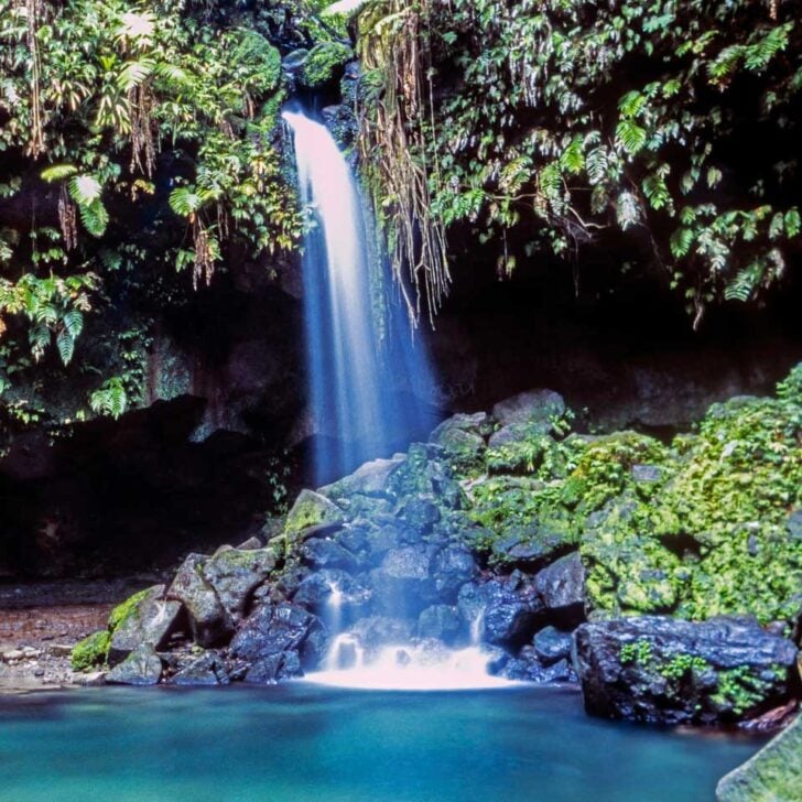 Emerald Pool waterfall on the Island of Dominica