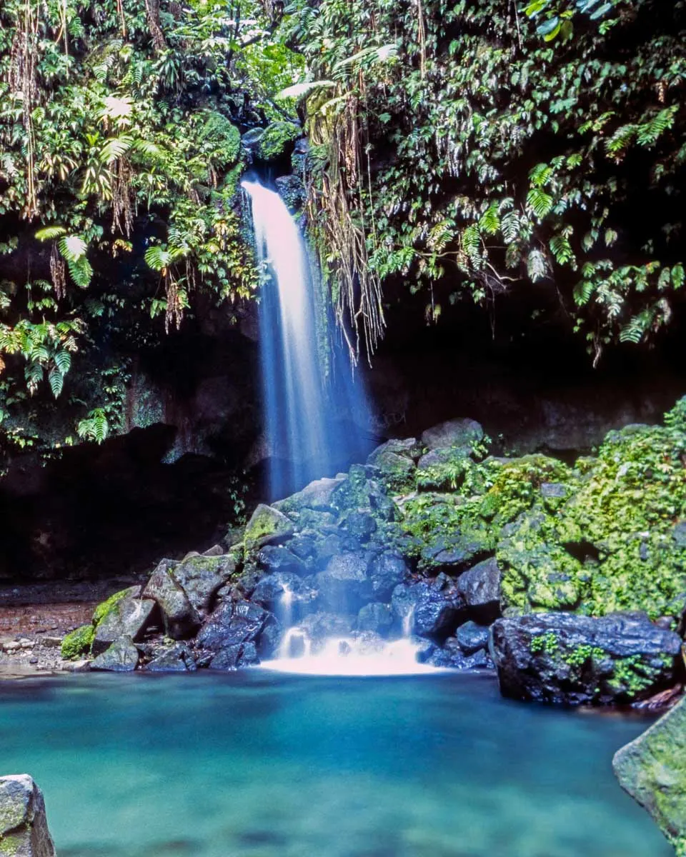 Emerald Pool waterfall on the Island of Dominica