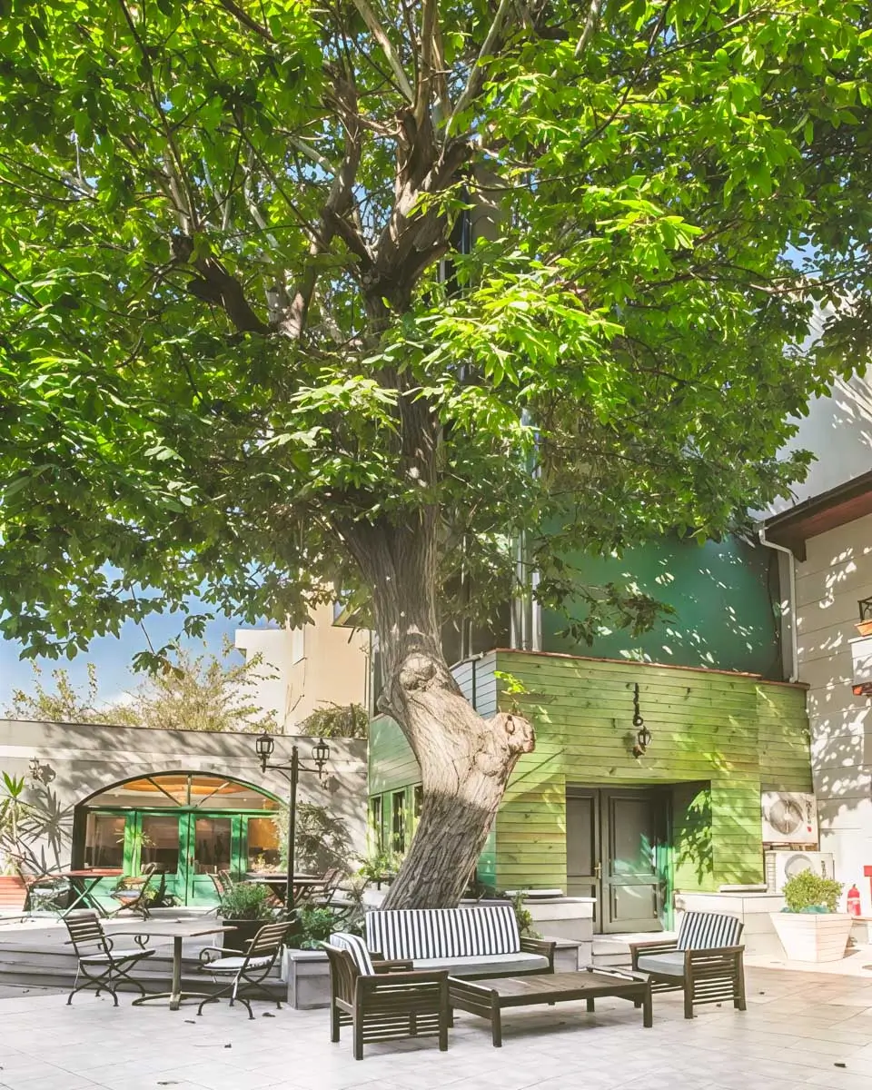 Garden House Hotel - Special Class in Istanbul Turkey 3