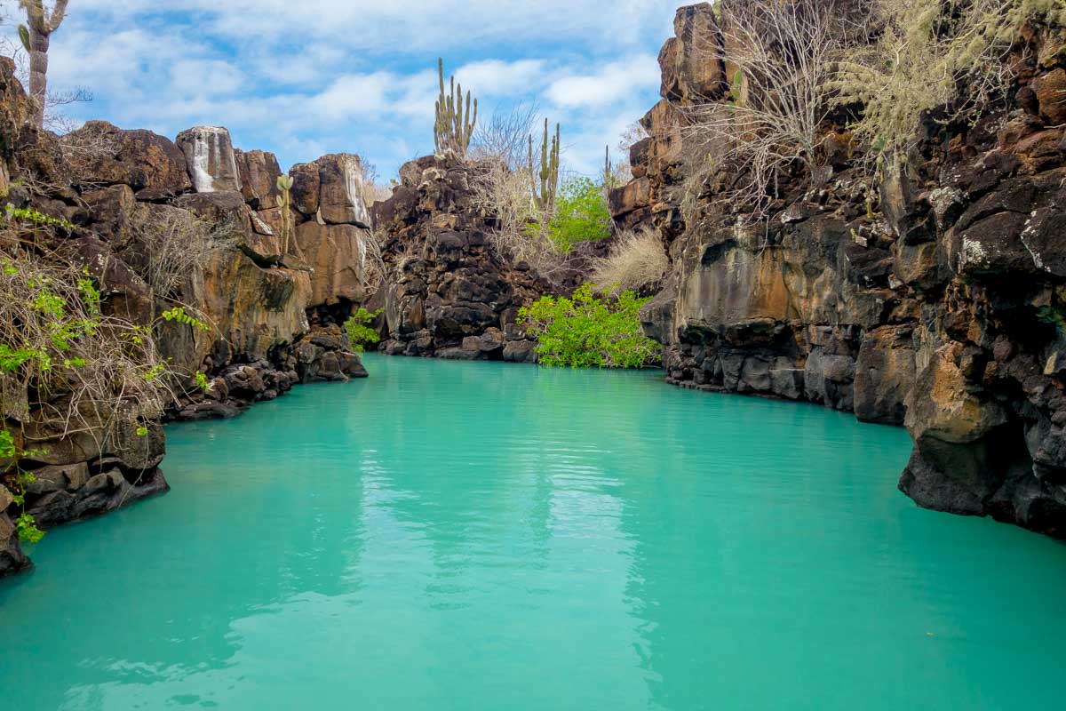 How to Spend FIVE to SEVEN DAYS on the Galapagos Islands: 5 to 7 Day Itinerary