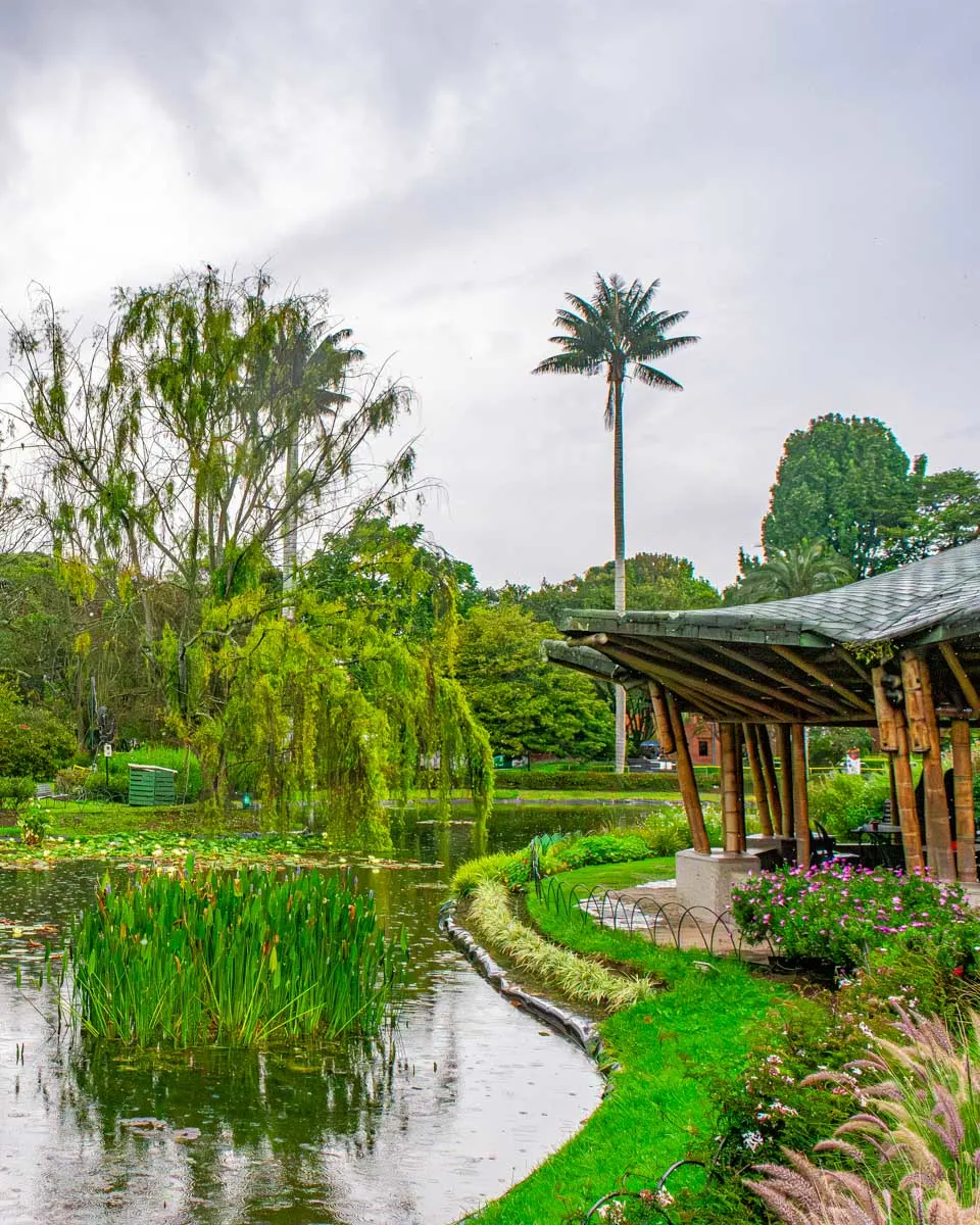The Botanical Garden in Bogota Colombia (2)