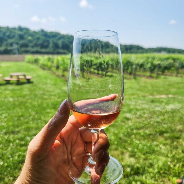 A glass of wine at a winery near Adelaide, Australia