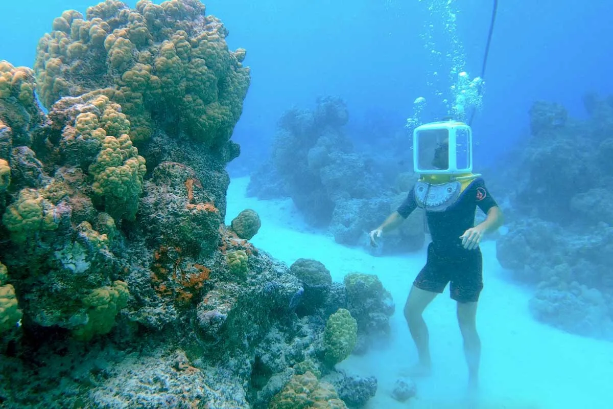 Aqua Safari Bora Bora in Bora Bora
