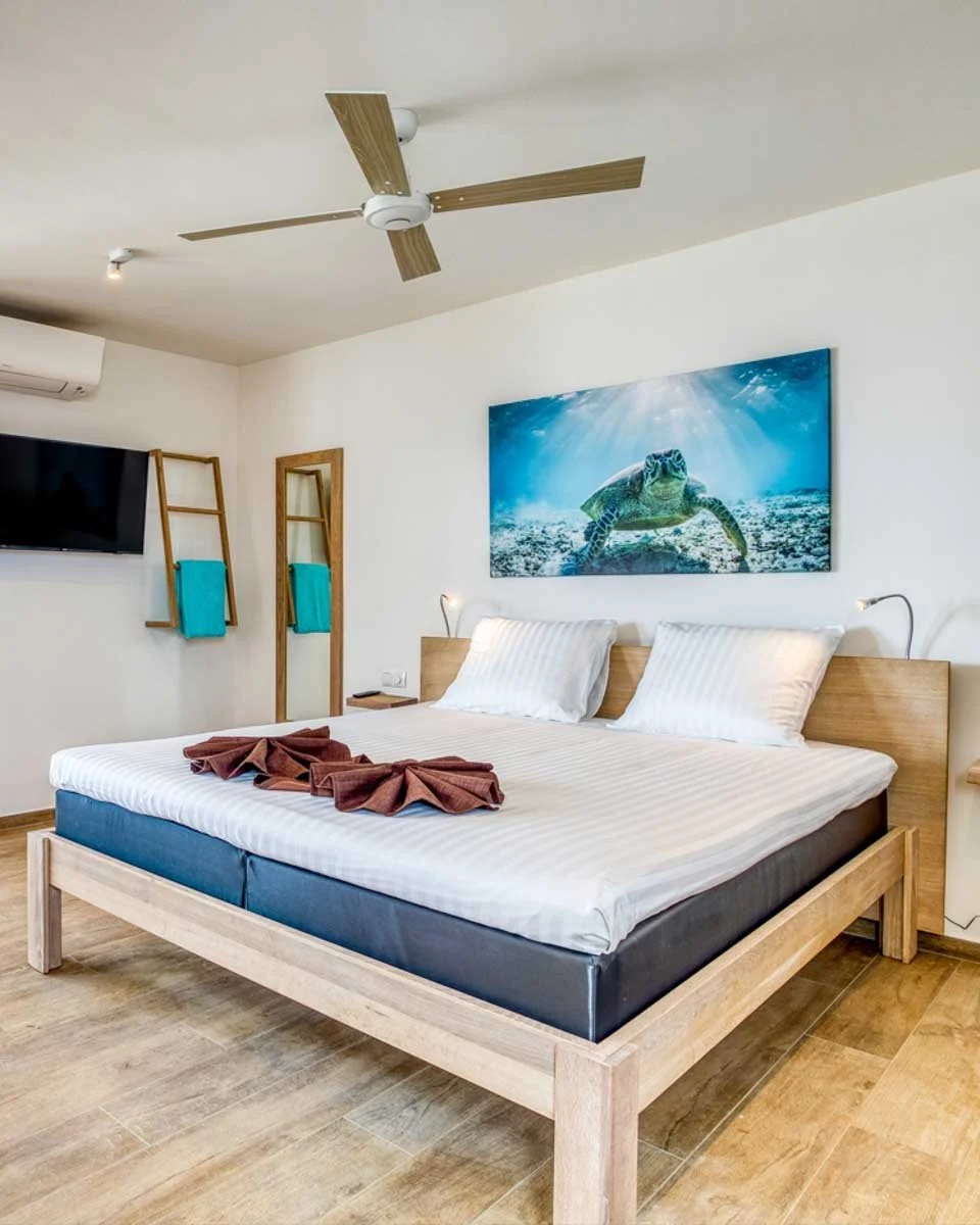 Chogogo Dive & Beach Resort Bonaire in Bonaire