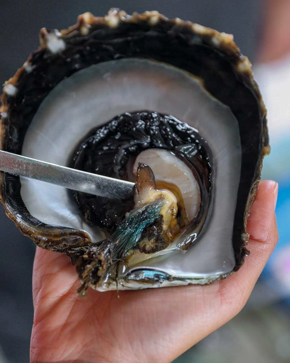 Farming for black pearls on a tour in Bora Bora