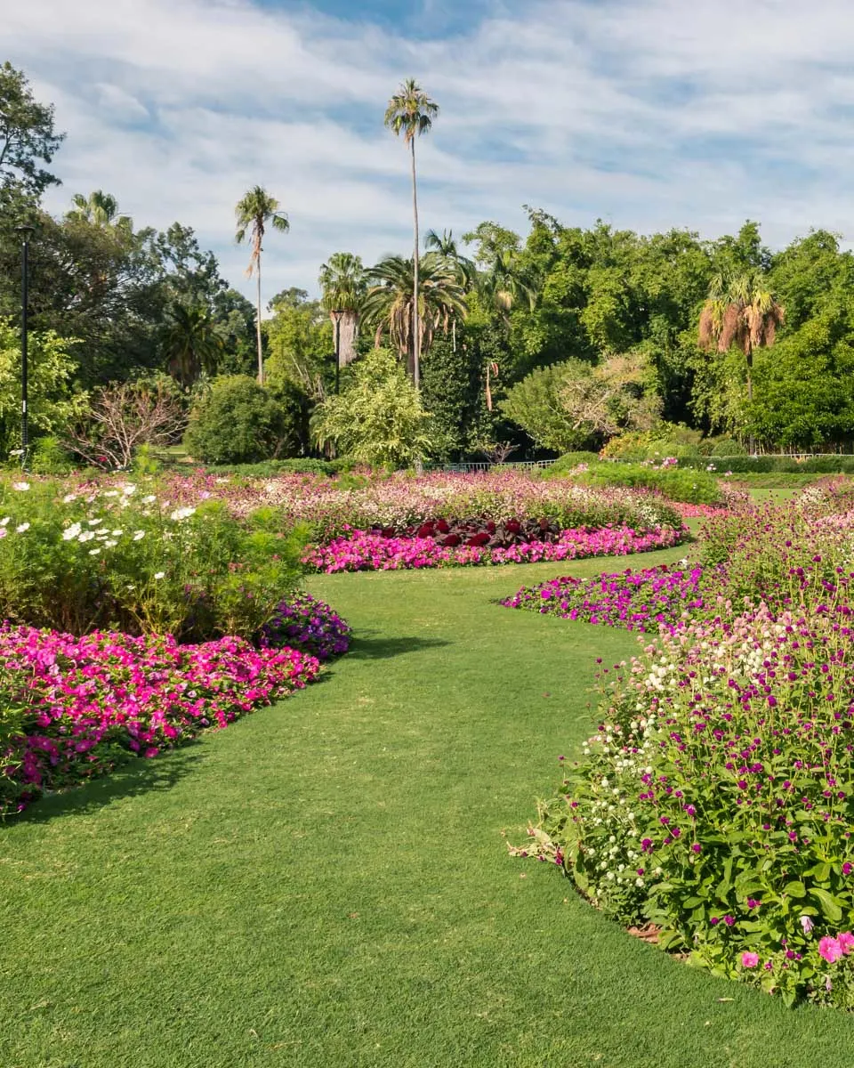 Flower beds at the Brisbane Botanic Gardens