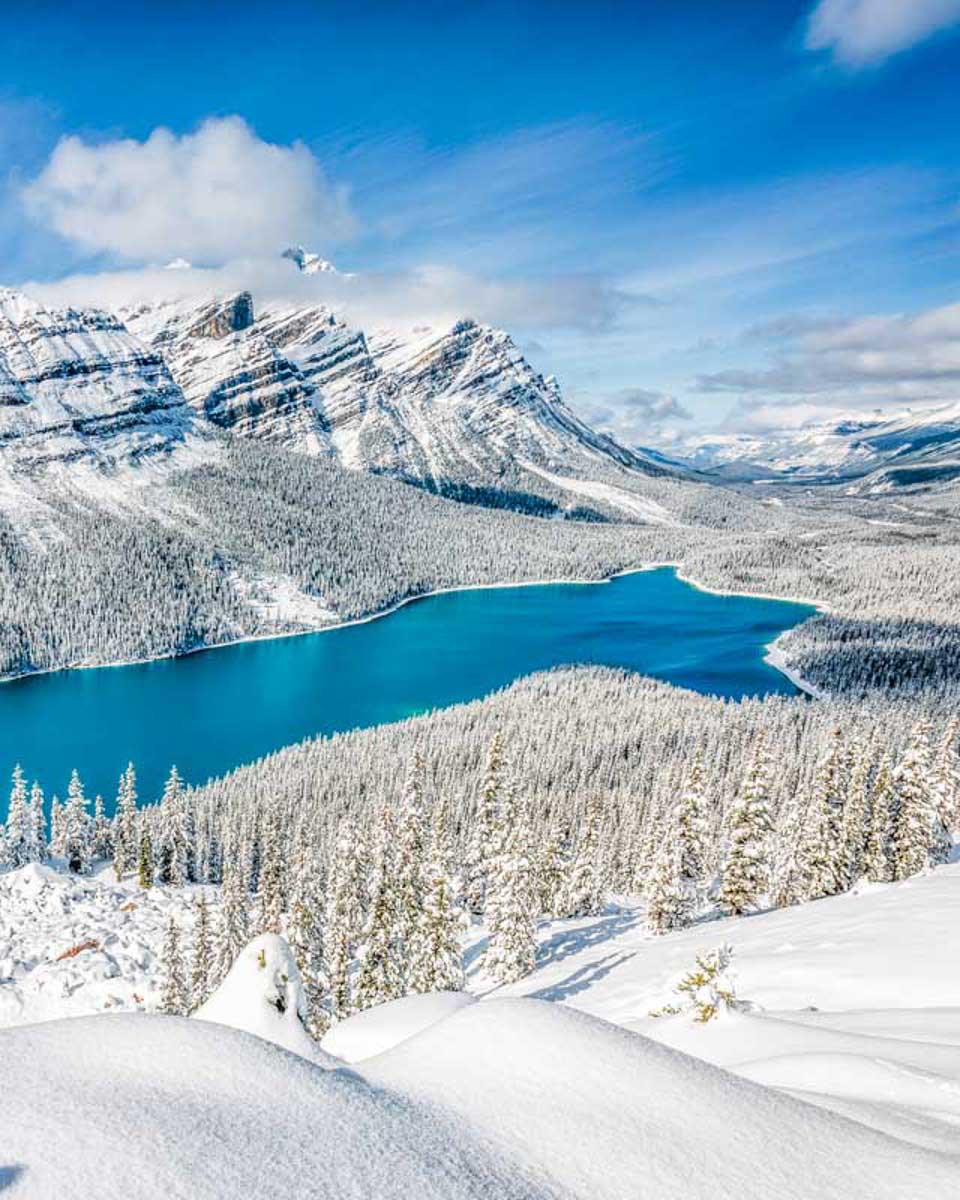 Peyto Lake seen on a tour from Banff AB Canada