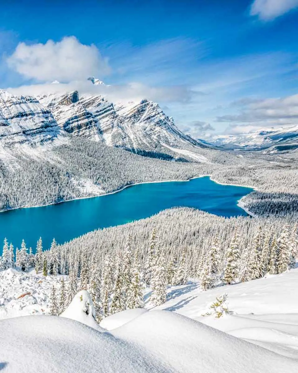 Peyto Lake seen on a tour from Banff AB Canada