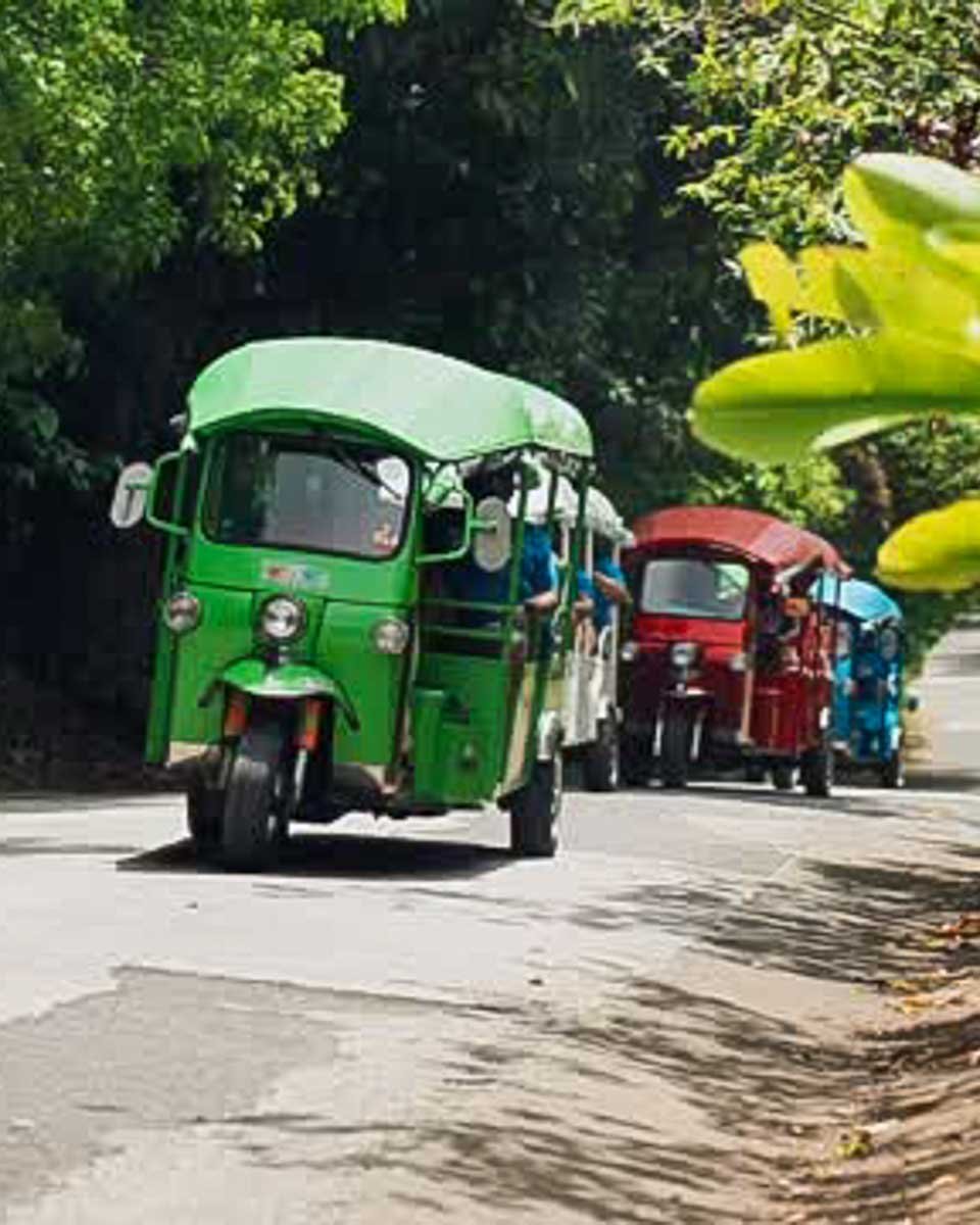 Rock Adventures Antigua in Antigua and Barbuda