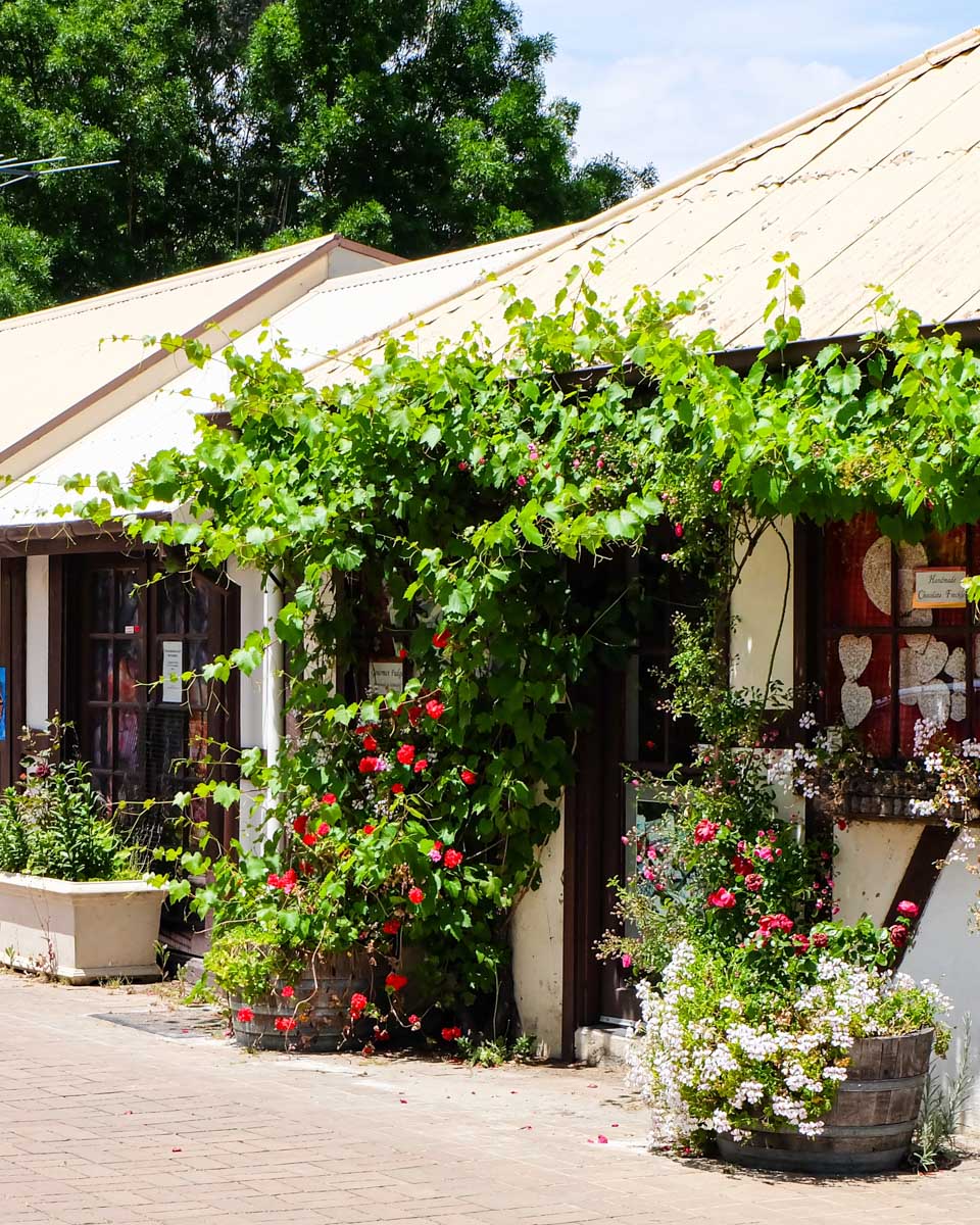 Shops and building in Hahndorf, South Australia seen on a tour from Adelaide