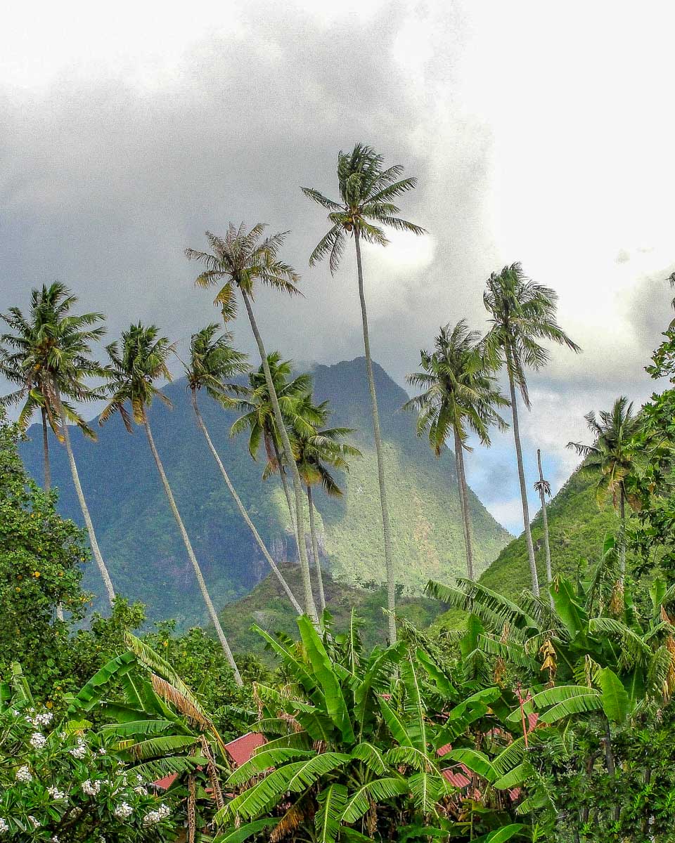 The landscape seen on a 4x4 tour of Bora Bora