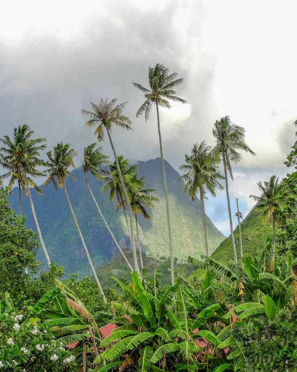 The landscape seen on a 4x4 tour of Bora Bora
