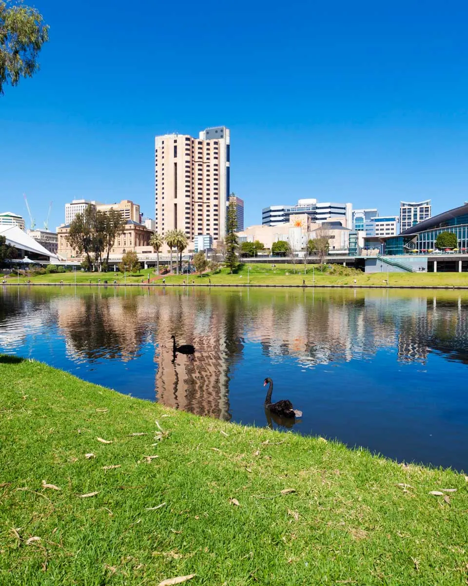 views of the city while having a picnic in Adelaide