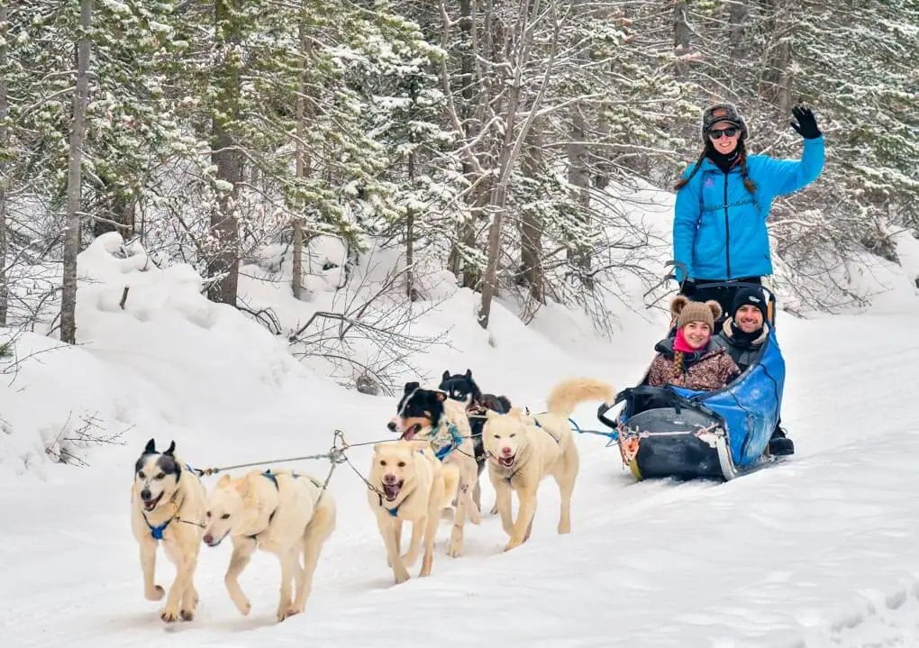 Bailey and Daniel being pulled by sled dogs on a tour from Anchorage Alaska