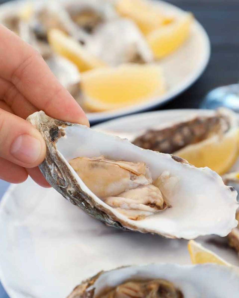 Bailey-eats-fresh-oysters-on-a-tour from Hobart Tasmania Australia