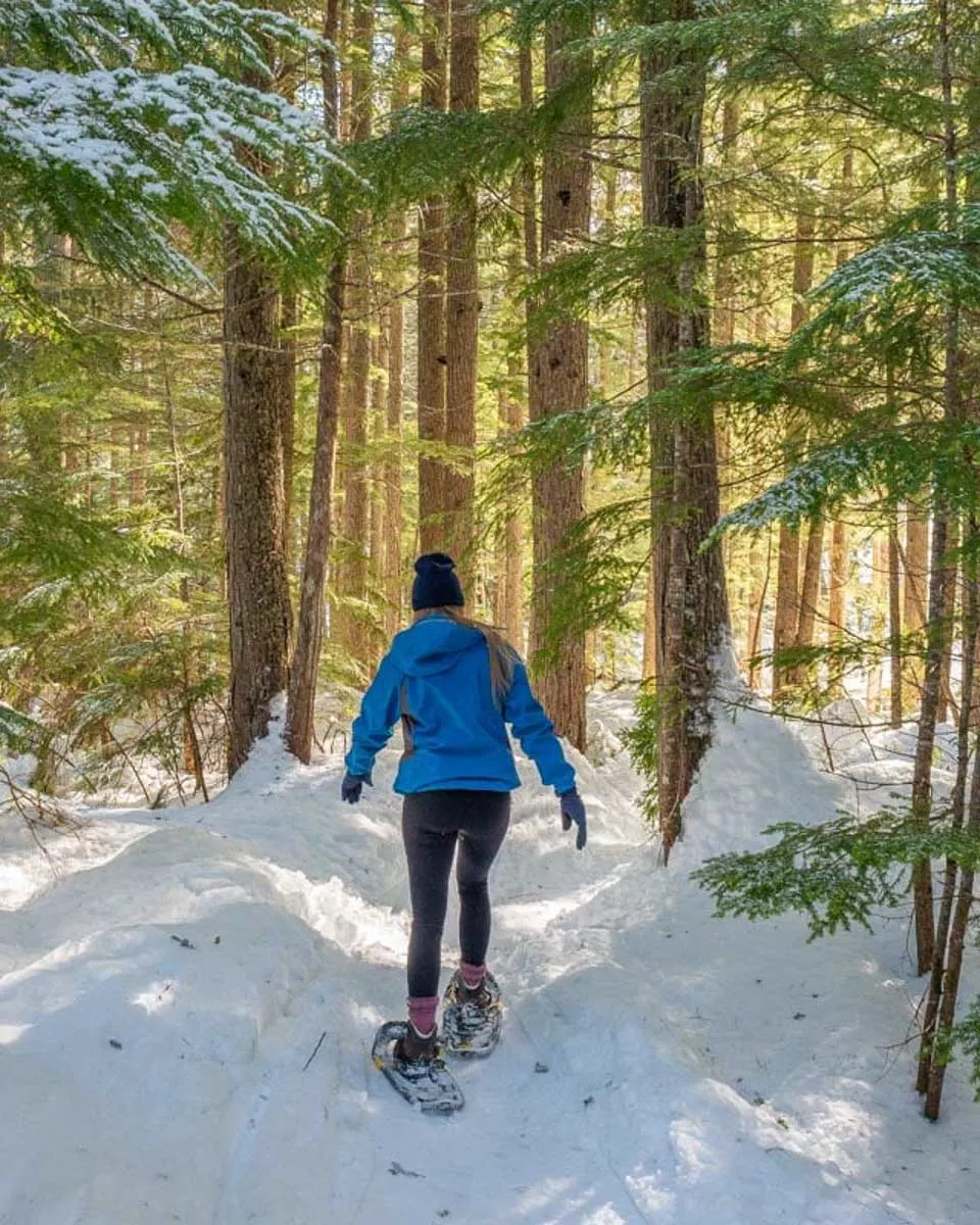 Bailey-snowshoes-in-Whistler Canada in the winter 1