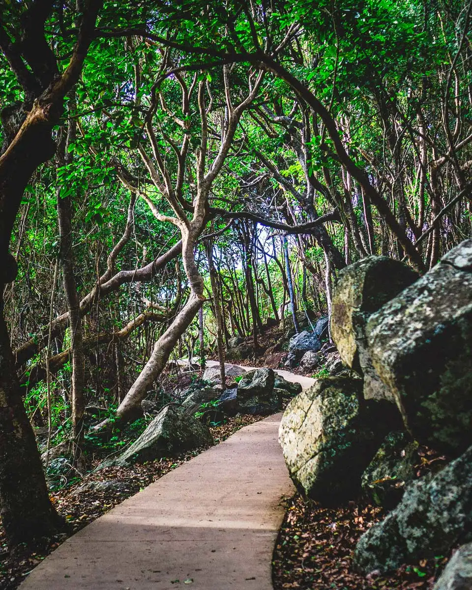Burleigh Head National Park Walk in Gold Coast Australia