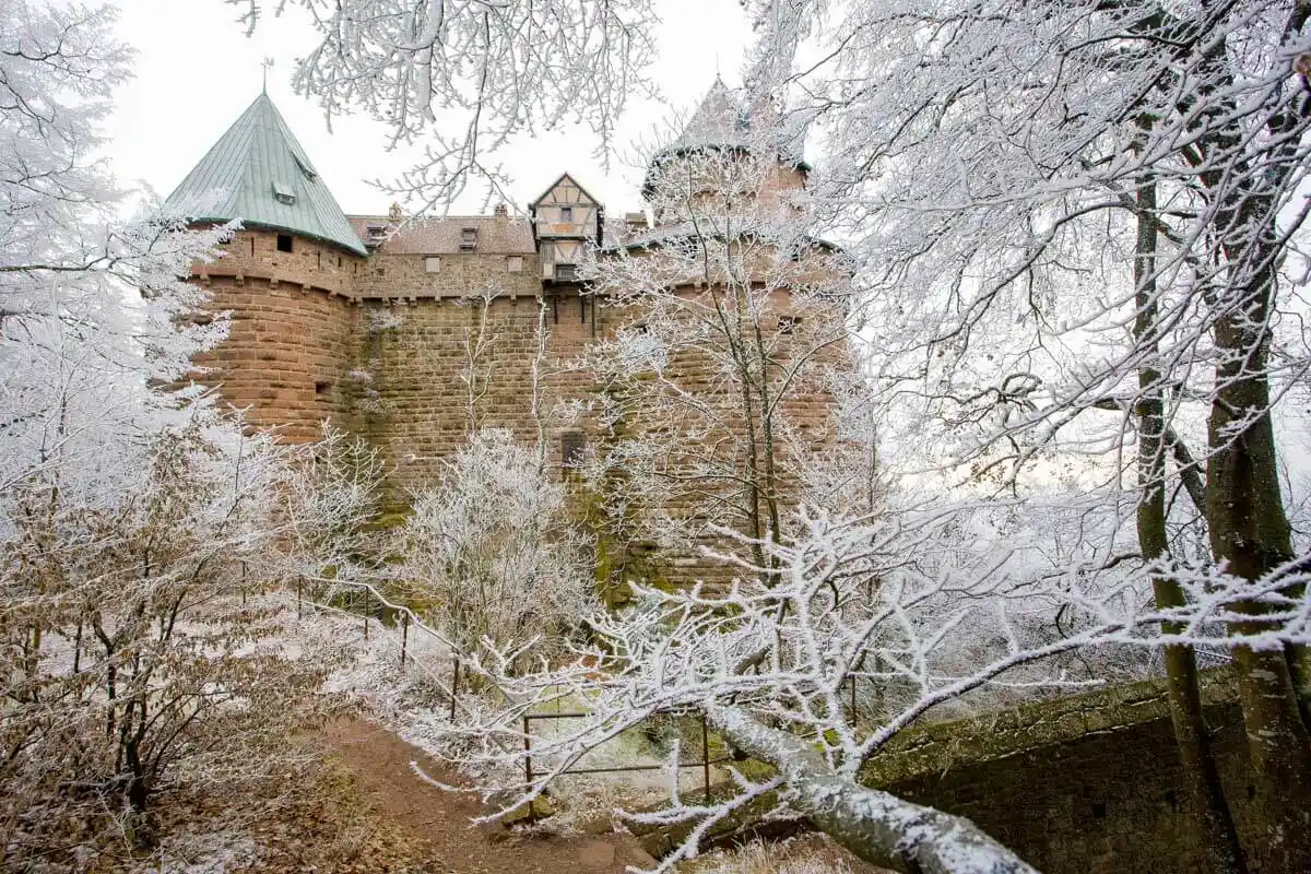 10 Best Things to do in Strasbourg, France in Winter