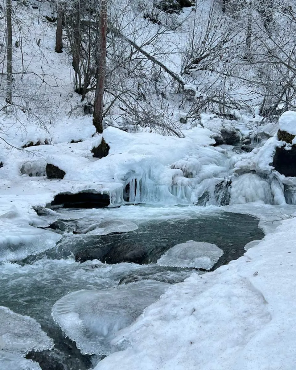 Go Hike Alaska in Anchorage Alaska 2