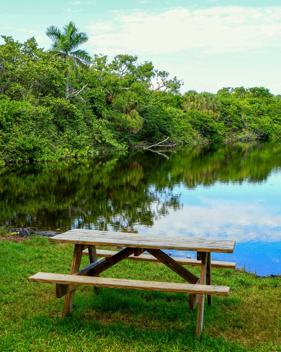 Hugh Taylor Birch State Park and bench seen in Fort Lauderdale Florida
