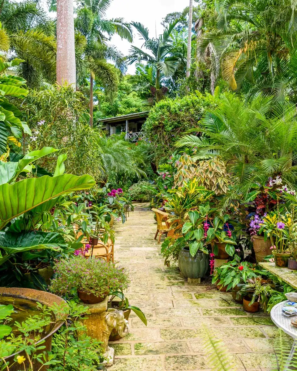 Huntes Botanical Garden on the Caribbean island of Barbados