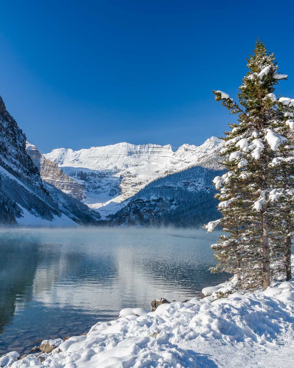 Lake Louise seen in the winter from a lakeside trail Canada