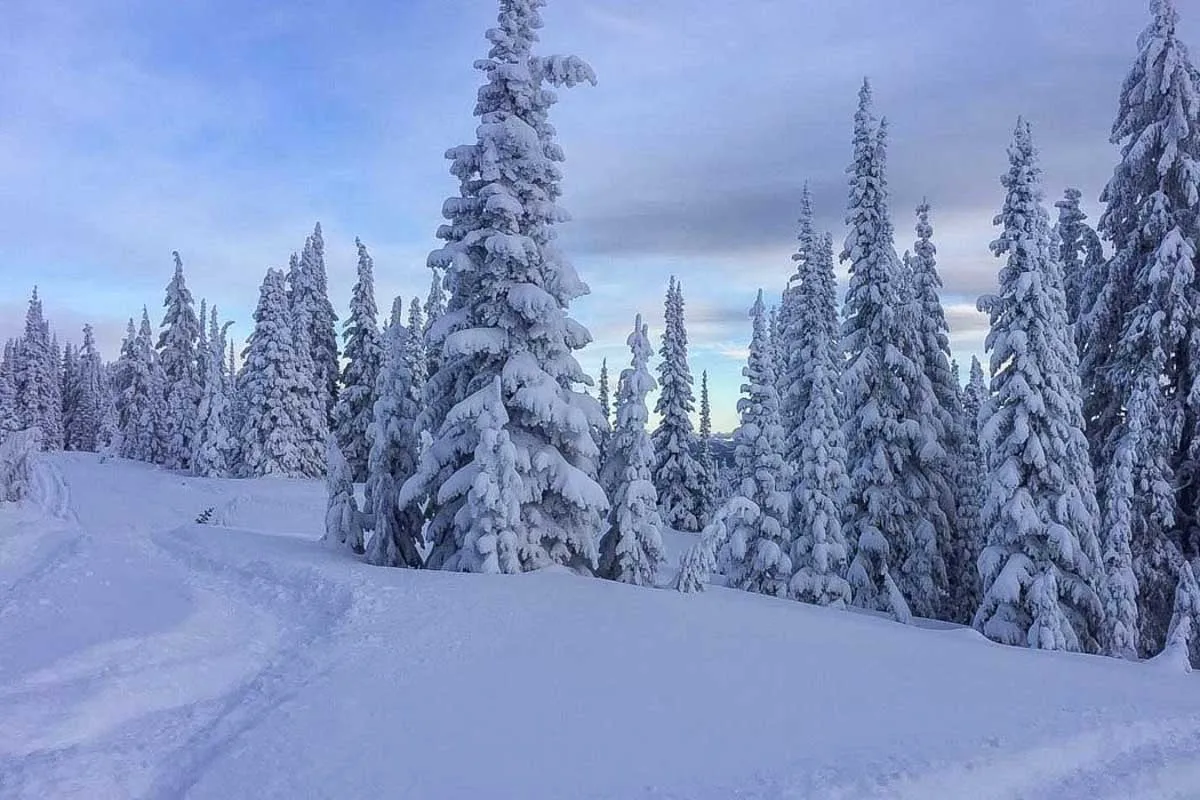 Part of the Valley Trail in Whistler Canada in winter