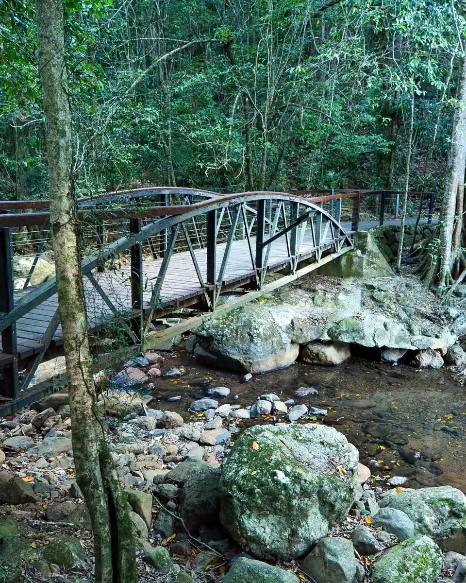 Springbrook National Park&nbsp;near Gold Coast Australia (1)