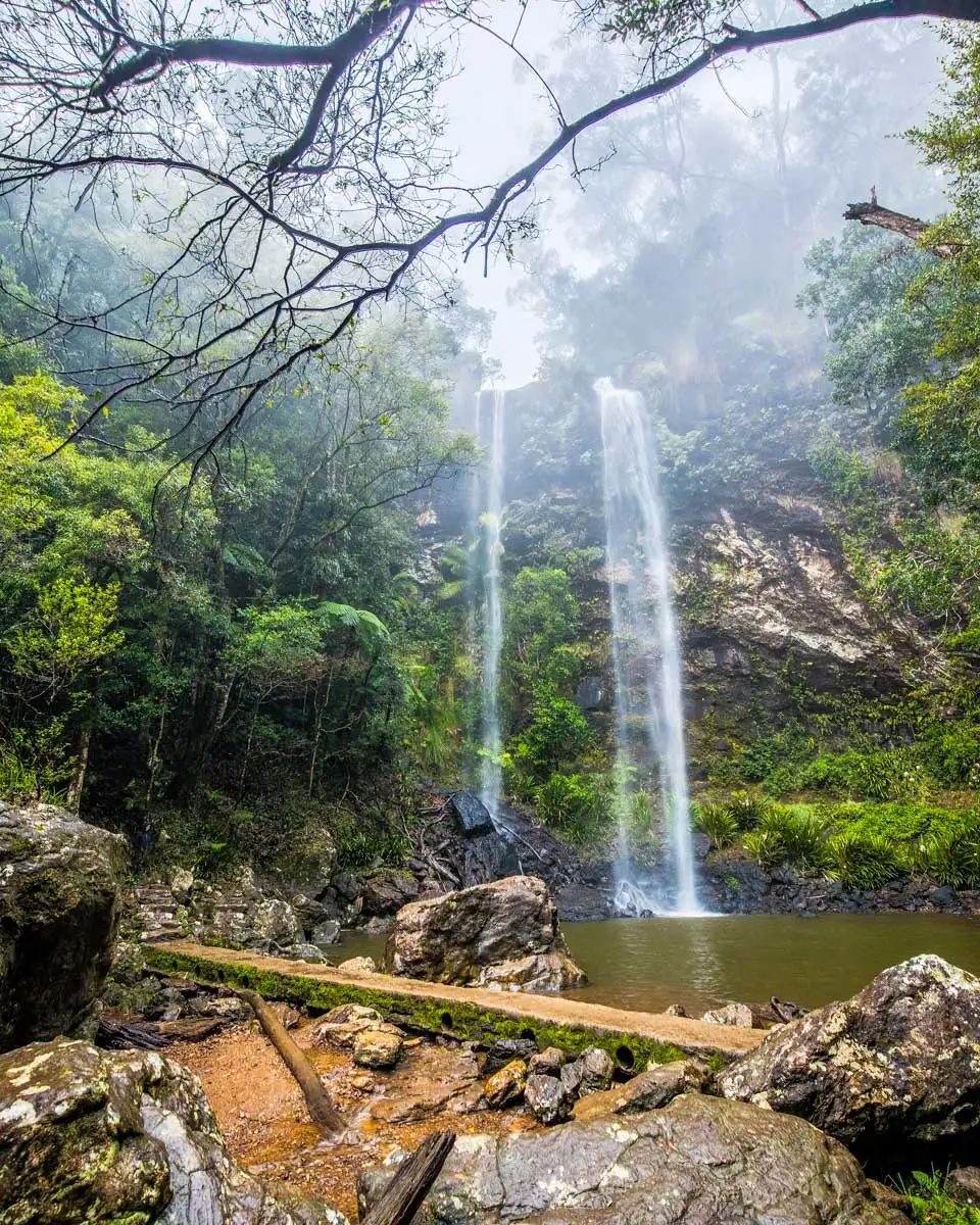 Springbrook National Park&nbsp;near Gold Coast Australia (2)