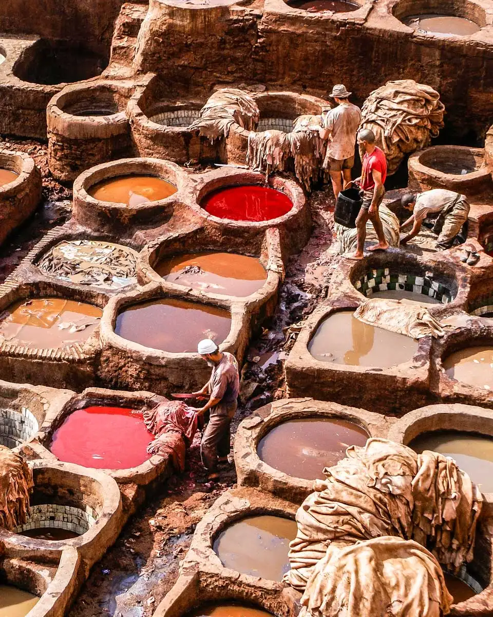 Tannery in Fez Morocco seen on a tour