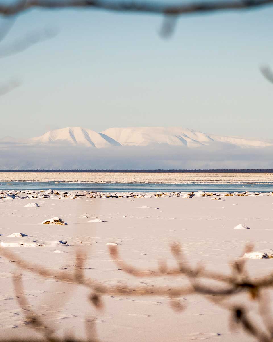 View of Knik Arm from Earthquake Park on a tour in Anchorage Alaska