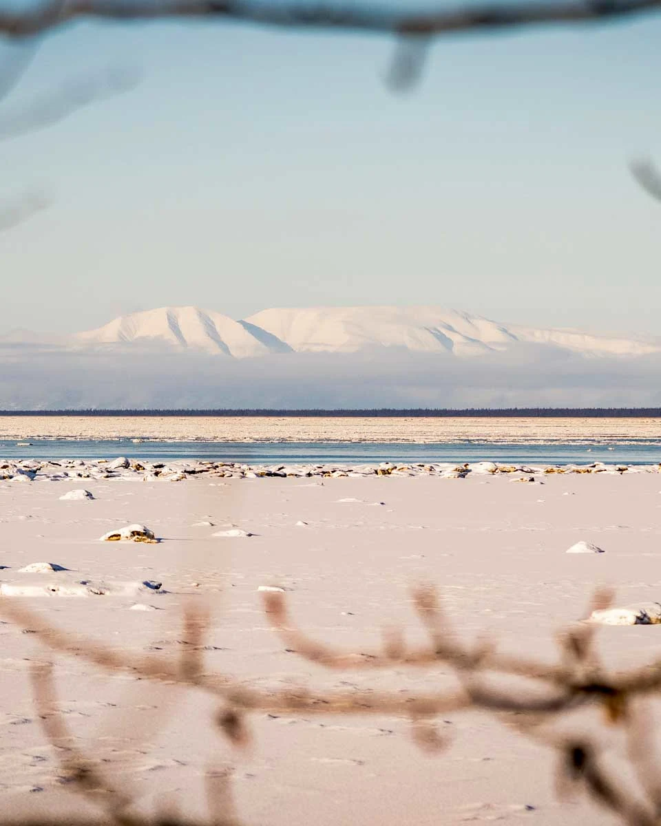 View of Knik Arm from Earthquake Park on a tour in Anchorage Alaska