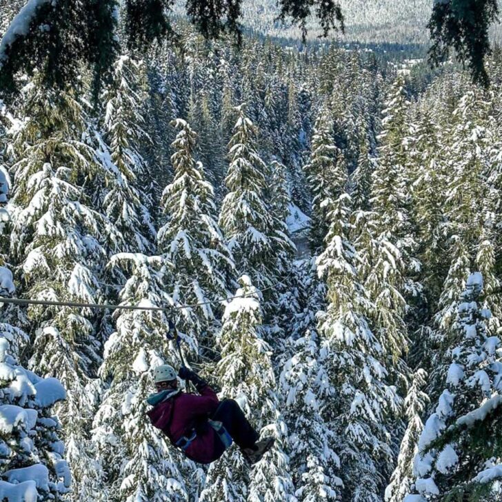 Ziptrek Ecotours Inc. in Whistler Canada 5