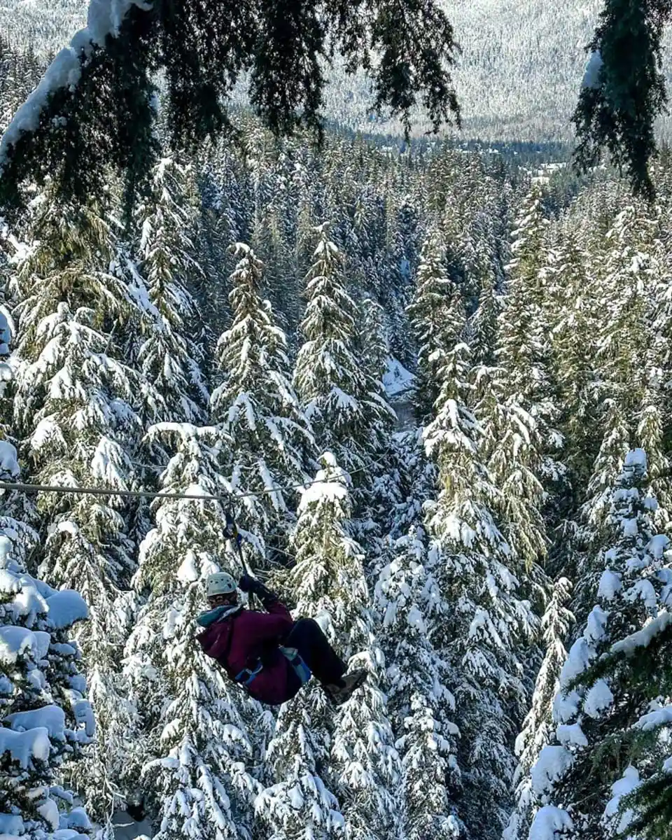 Ziptrek Ecotours Inc. in Whistler Canada 5