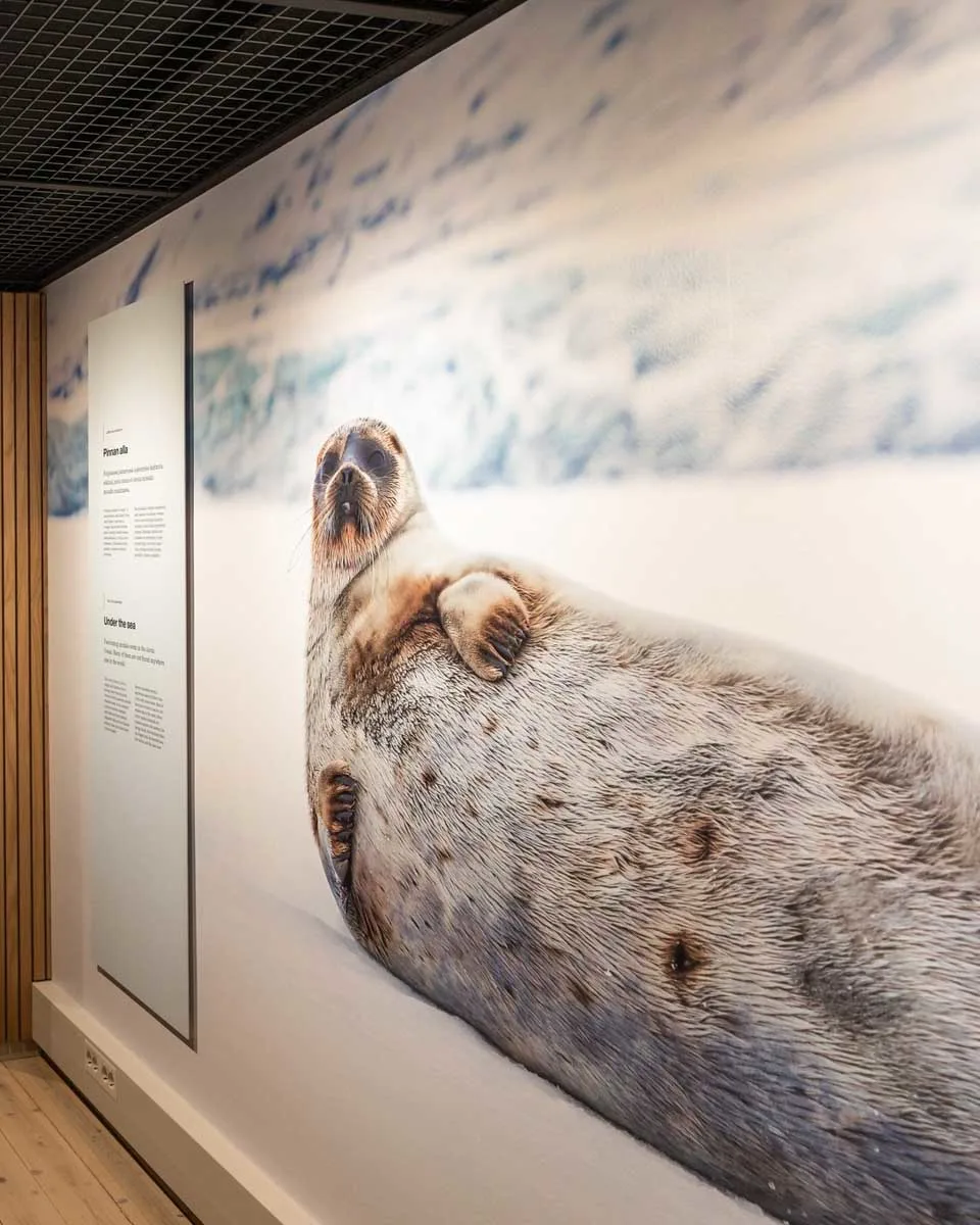 arktikumofficial Rovaniemi, Finland (1)