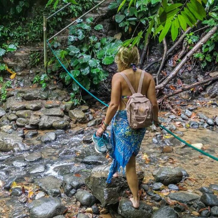 Bailey-walks-on-a-on-the-way-to-a-waterfall-in-Puerto Rico