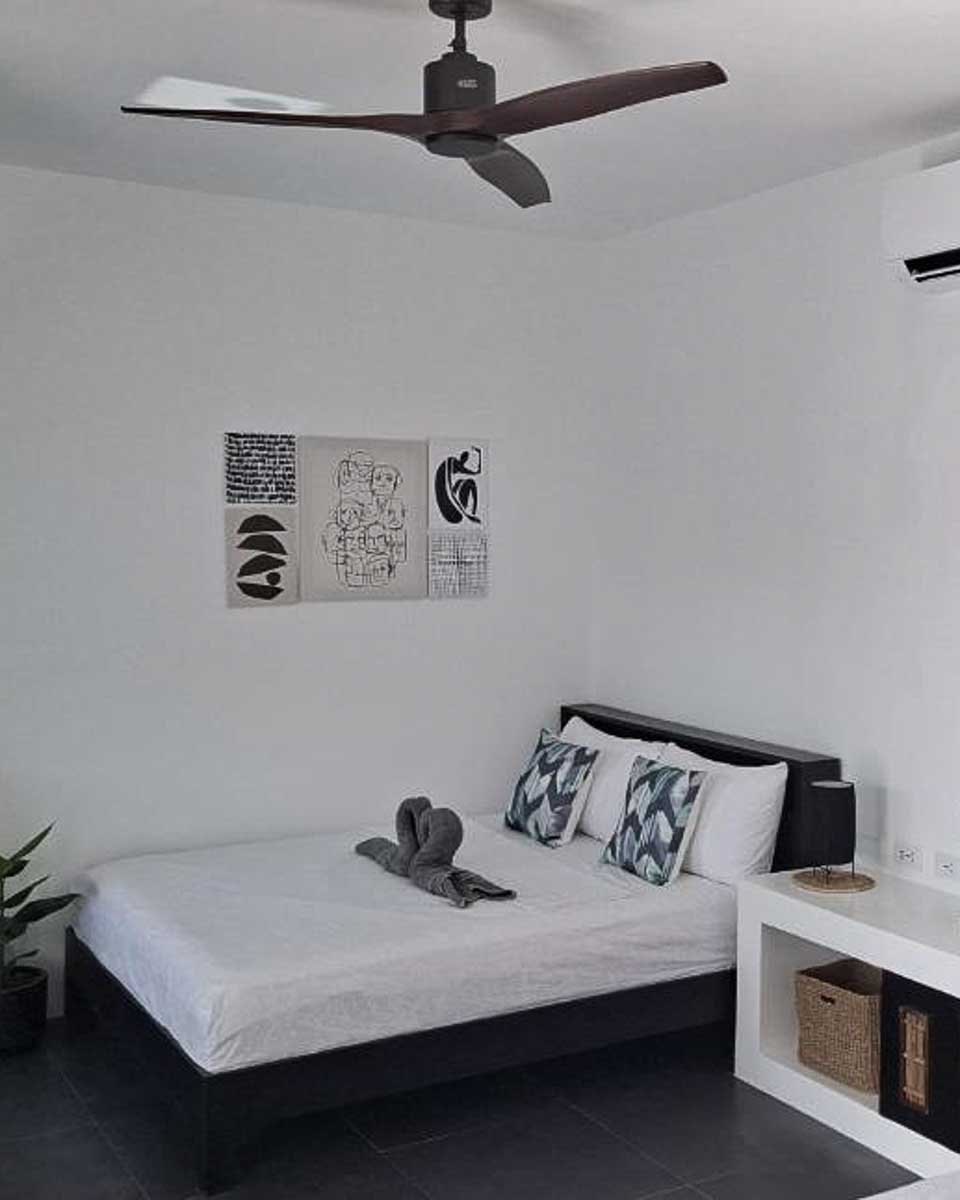 Coco del Rey near Cebu Philippines 1