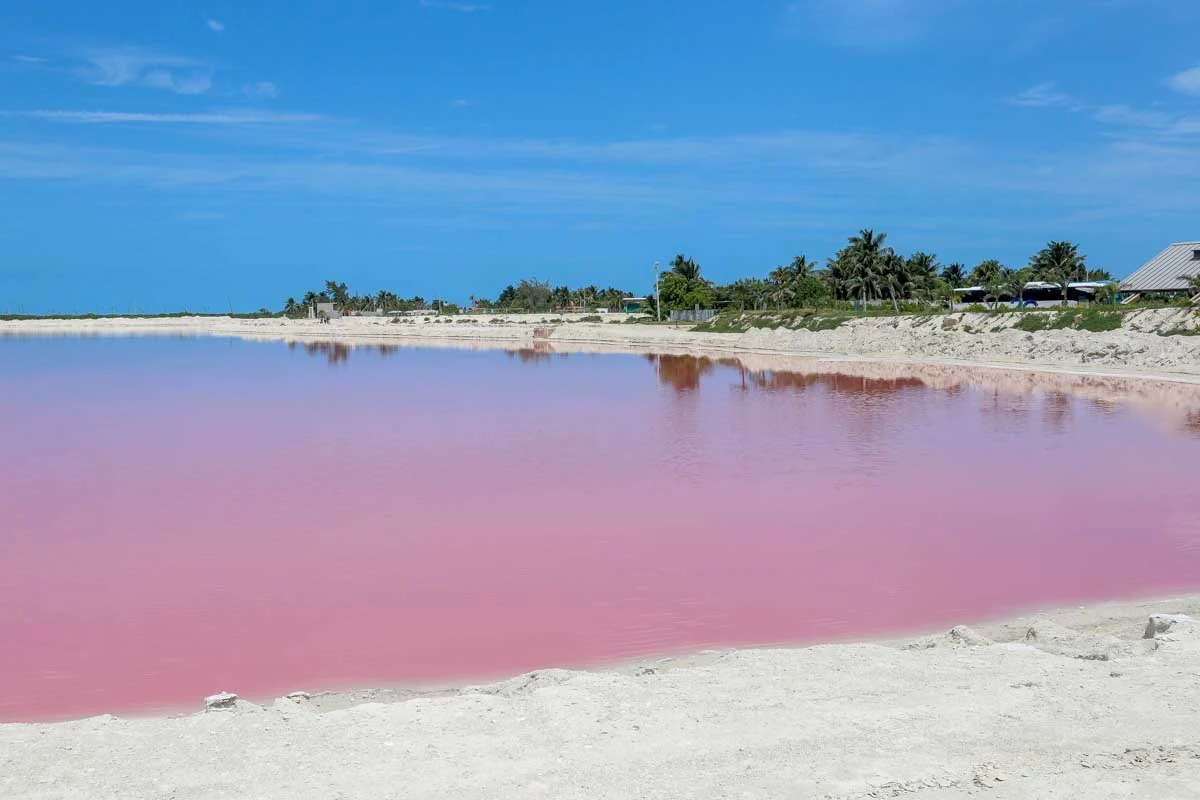 Las Coloradas, Mexico on a tour from Merida