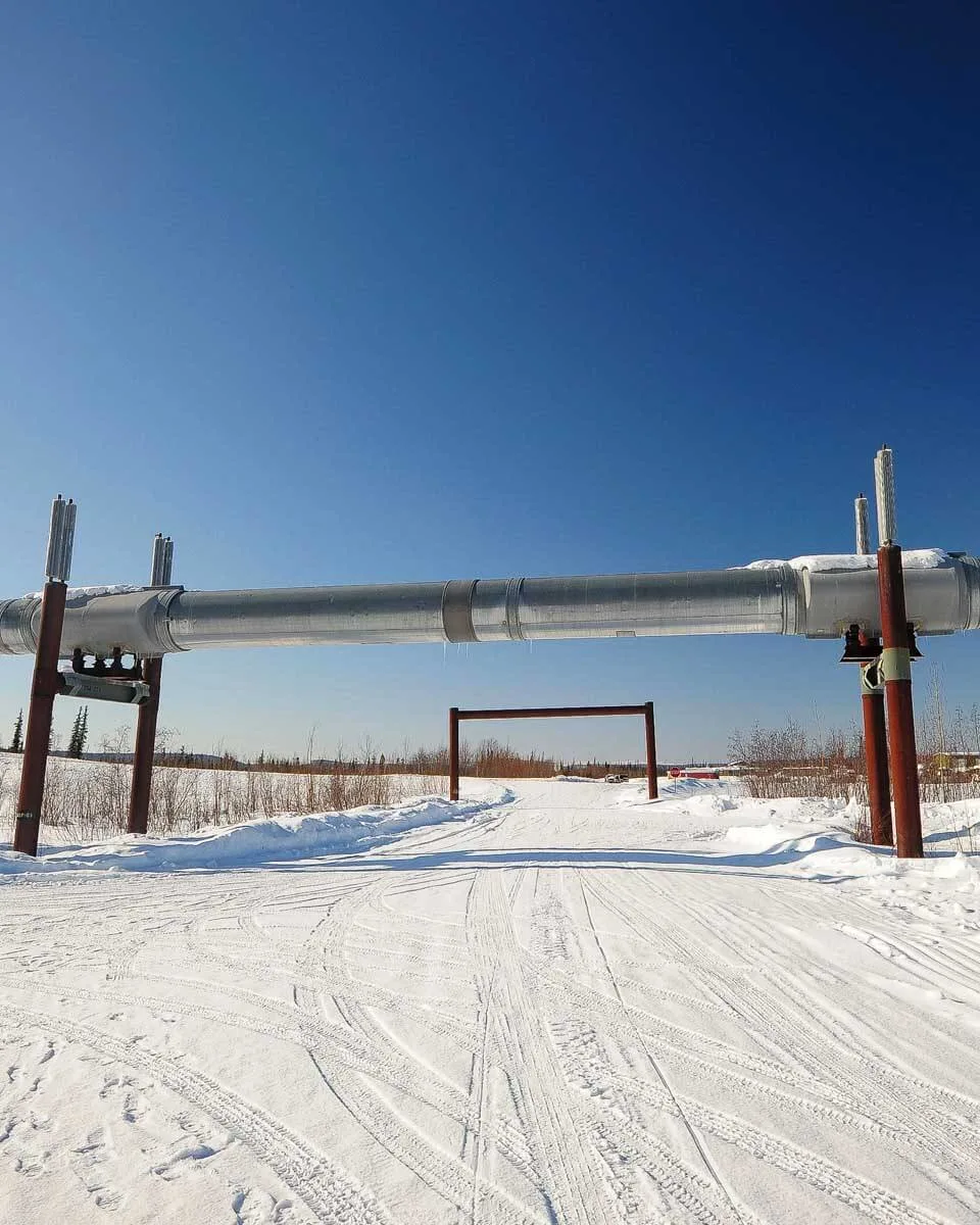 Part of the Trans-Alaskan Oil Pipeline seen on a tour from Fairbanks Alaska