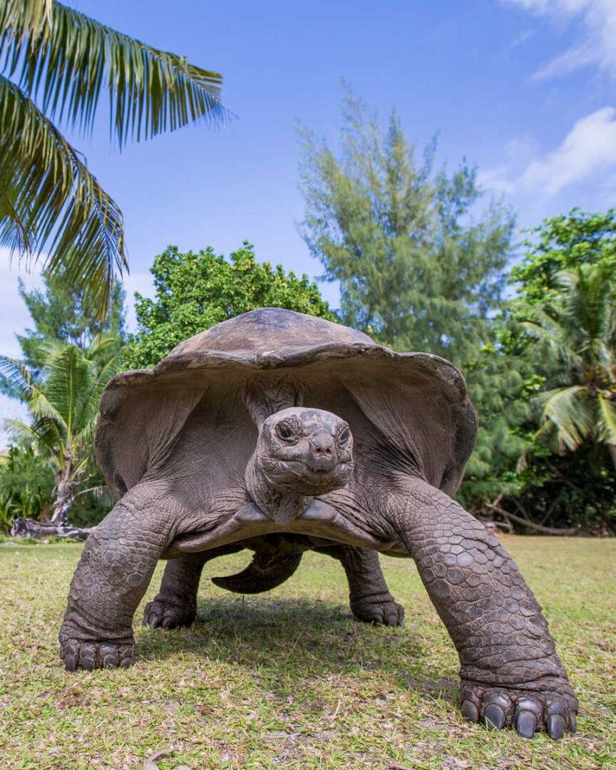 how-to-spend-seven-days-in-seychelles-7-day-itinerary