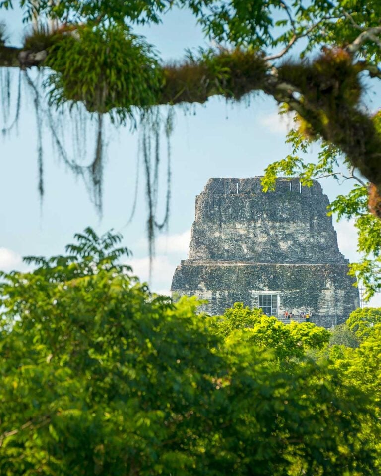 A-temple-at-Tikal-Guatemala-seen-through-the-trees on a tour from San Ignacio Belize