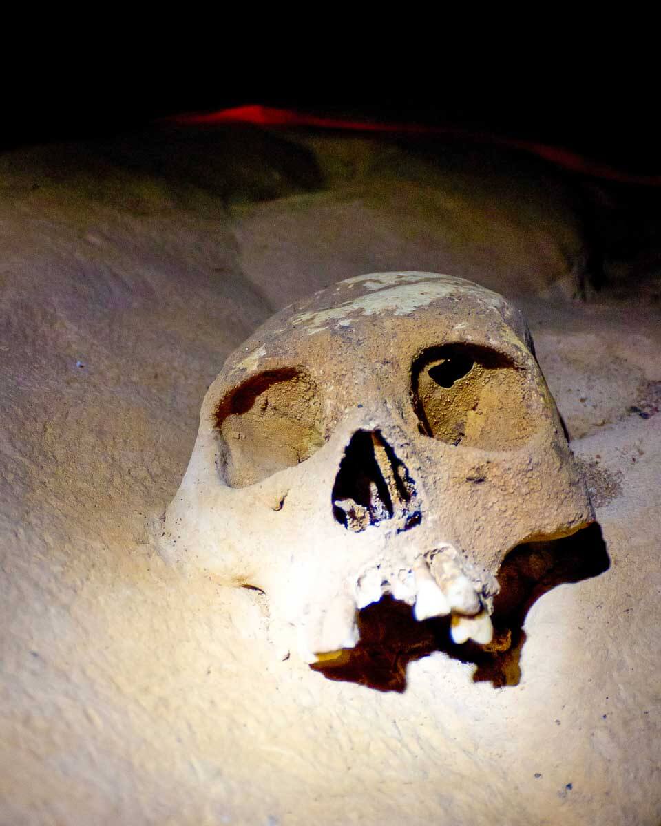 Actun Tunichil Muknal Cave skull on a tour in Belize