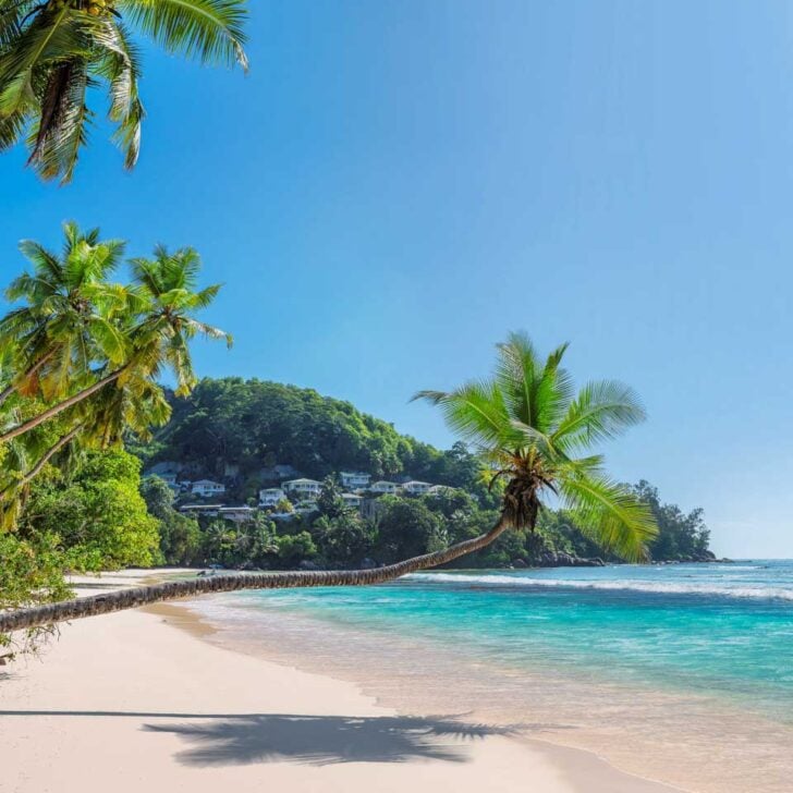Anse Takamaka Beach on Mahe Island Seychelles