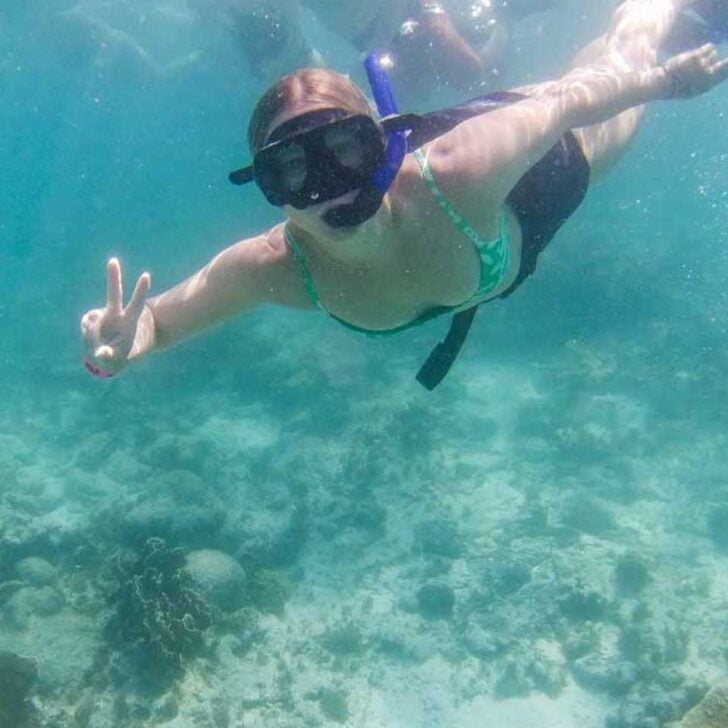 Bailey-snorkeling-on-a-tour-from-Sayulita Mexico