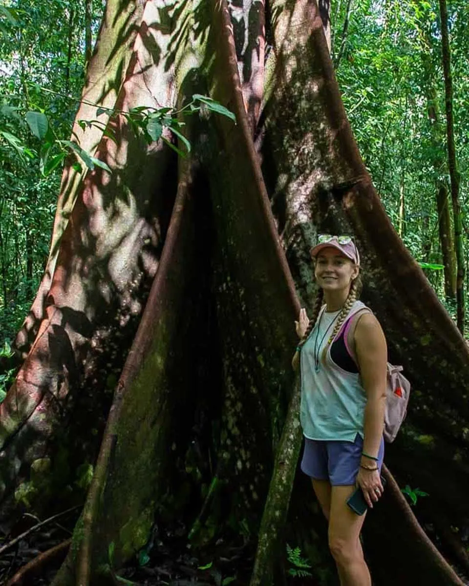 Bailey-stands-in-front-of-a-huge-tree on a hike of Monkey Mountain from Sayulita Mexico