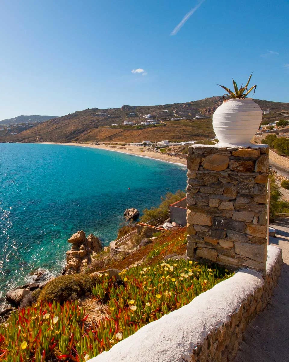 Elia Beach In Mykonos Greece (2)